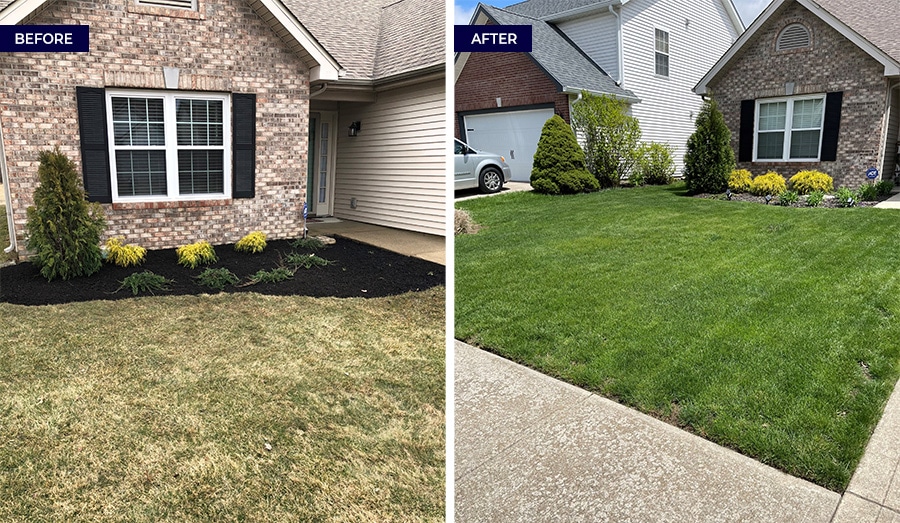 Professional Lawn Fertilization Services in Fishers IN