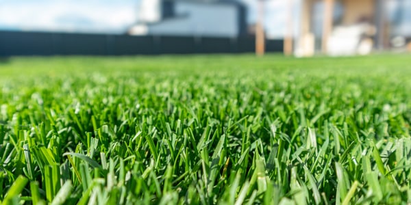 Back to Basics Fertilizer provides bush hogging services in Fishers, IN.